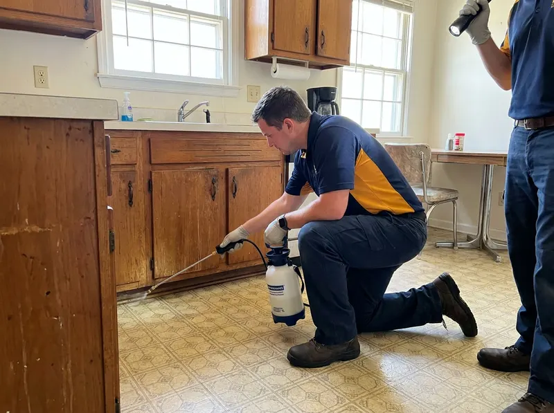 Cockroach Treatment in Annapolis, MD